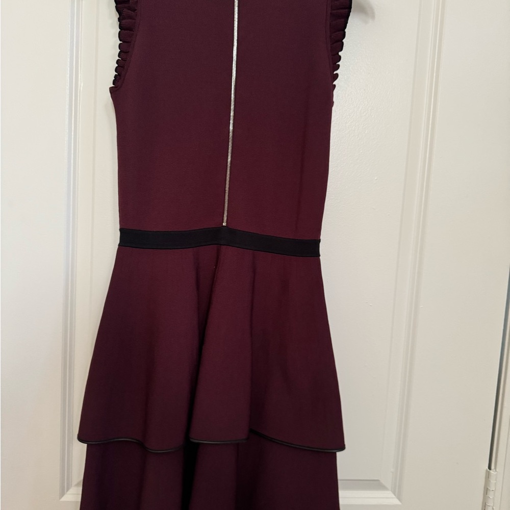 Parker Burgundy Ruffled Mini Dress - Picture 2 of 2